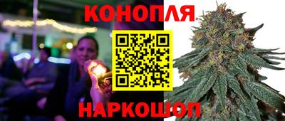 крисы Кинель