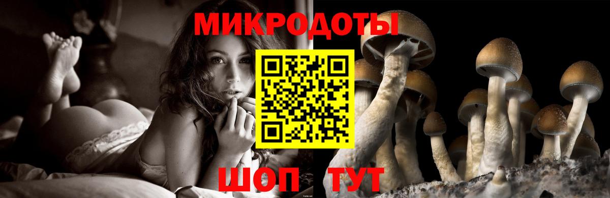 Галлюциногенные грибы Cubensis  Галлюциногенные грибы Psilocybine cubensis  Находка  Вход с VPN 