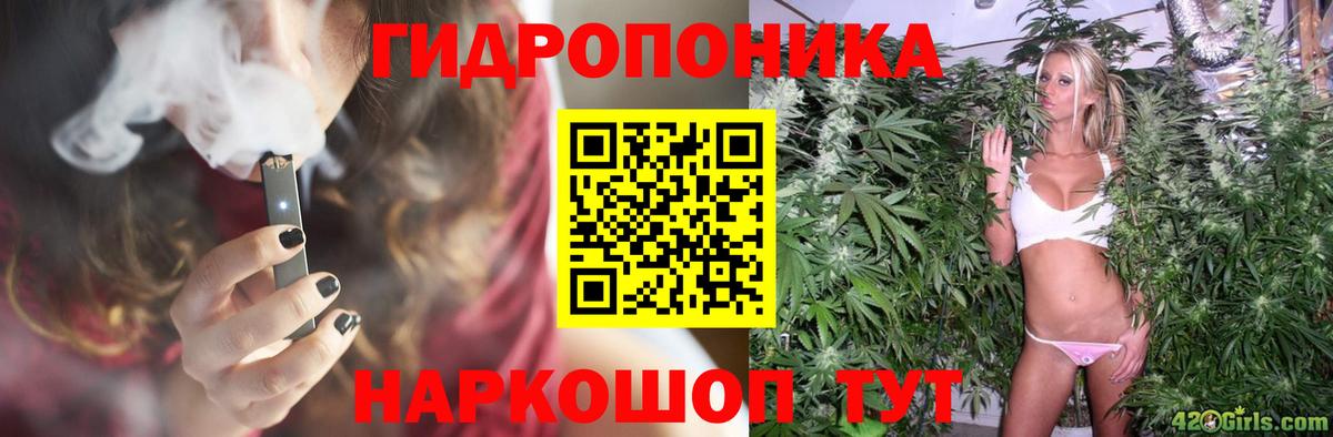Канабис MAZAR Находка